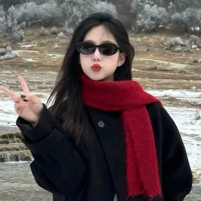 家鸭与野鸭的投币式置物柜